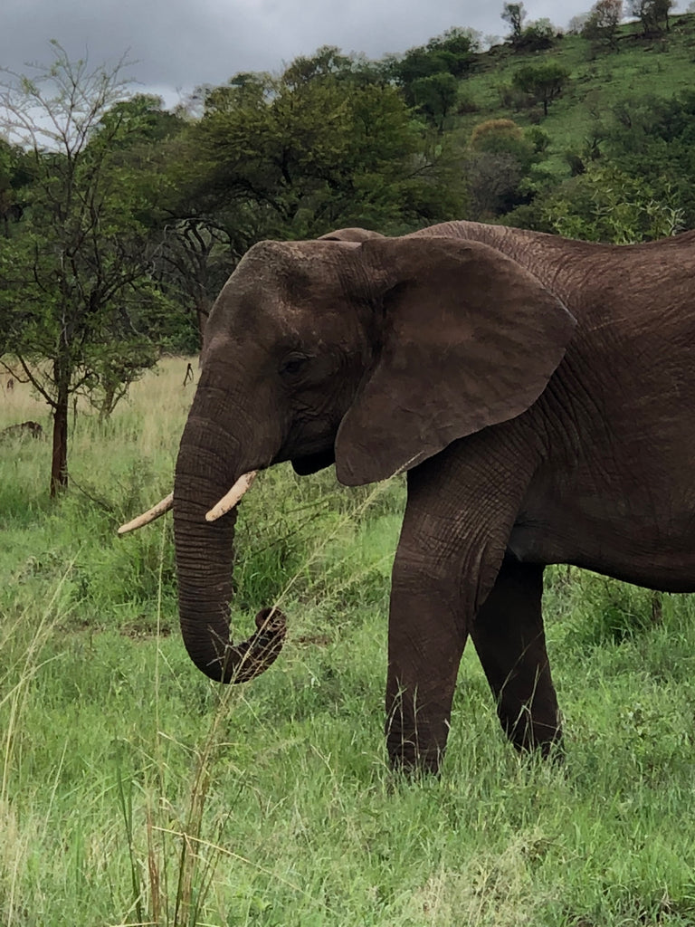 Tanzania
