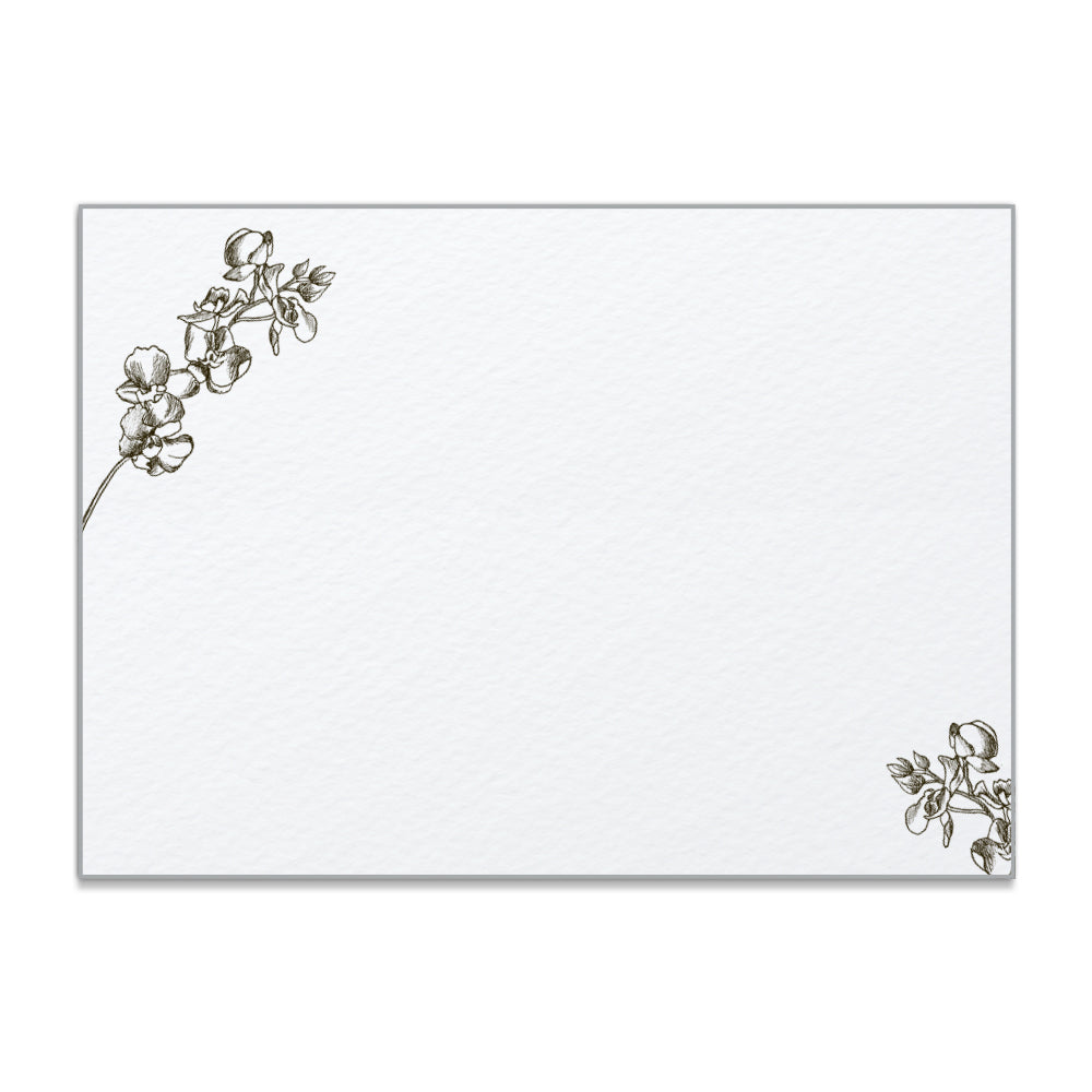 Orchid Note Cards