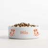 Beagle Pet Bowl
