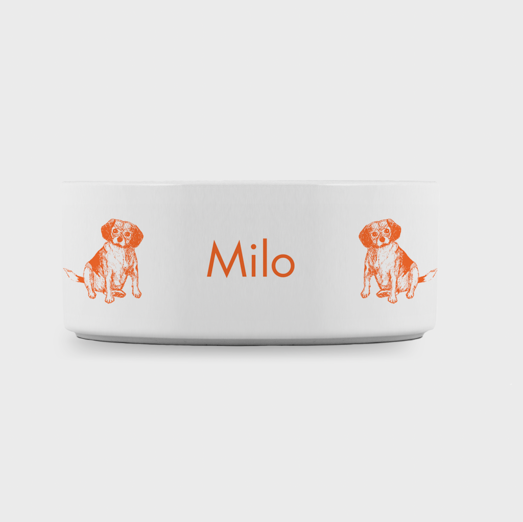 Beagle Pet Bowl