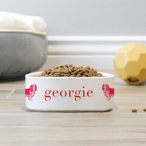 Pet Bowl