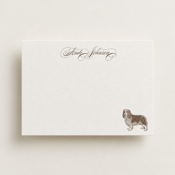 Custom Pet Illustration
