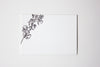 Orchid Enclosures