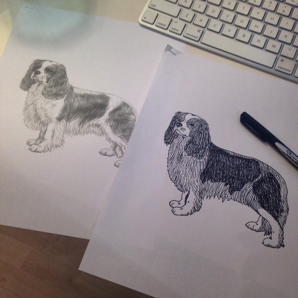 Custom Pet Illustration