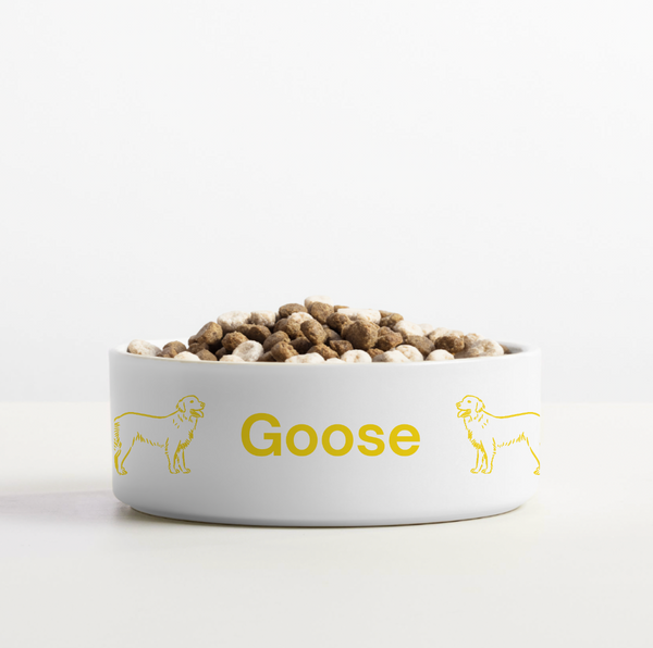 Golden Retriever Pet Bowl