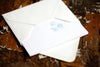 Seashell Folded Note Cards