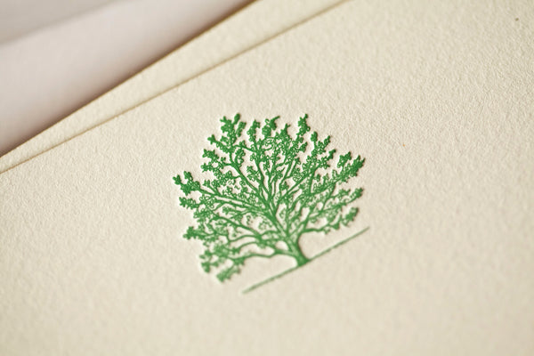Central Park Tree Note Cards